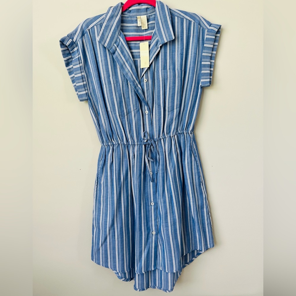 Japna Blue and White Striped Midi Dress